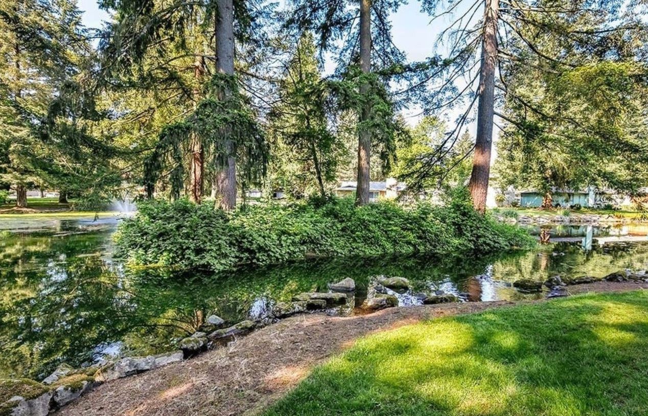 The Pinebrook Voice PINEBROOK HOA